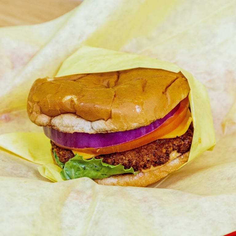 Delicious Chicken Burger Options